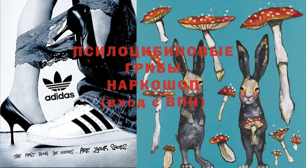 сатива Остров