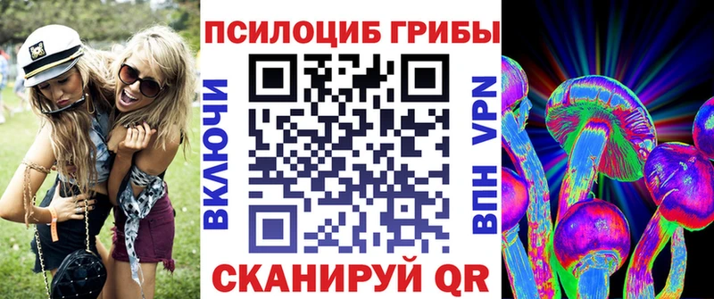 где продают   Рославль  ОМГ ОМГ маркетплейс  Галлюциногенные грибы Psilocybine cubensis 