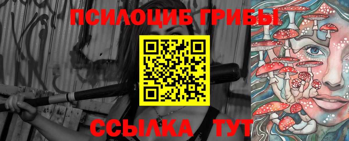 Псилоцибиновые грибы Psilocybe Рославль
